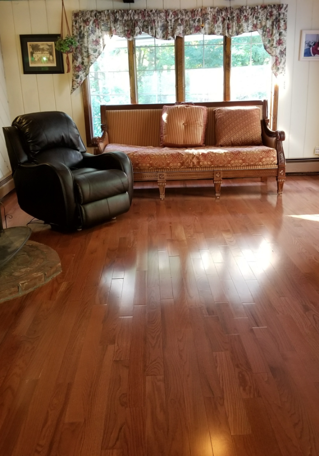 Dark hardwood flooring with a glossy finish in contemporary living room.